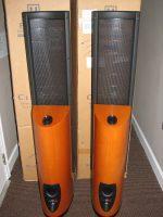 MARTIN LOGAN CLARITY - Image 2
