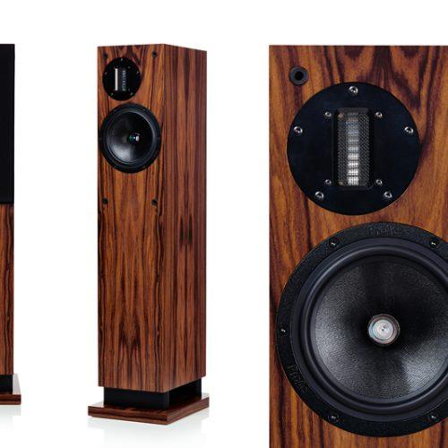 PROAC RESPONSE D20R-D