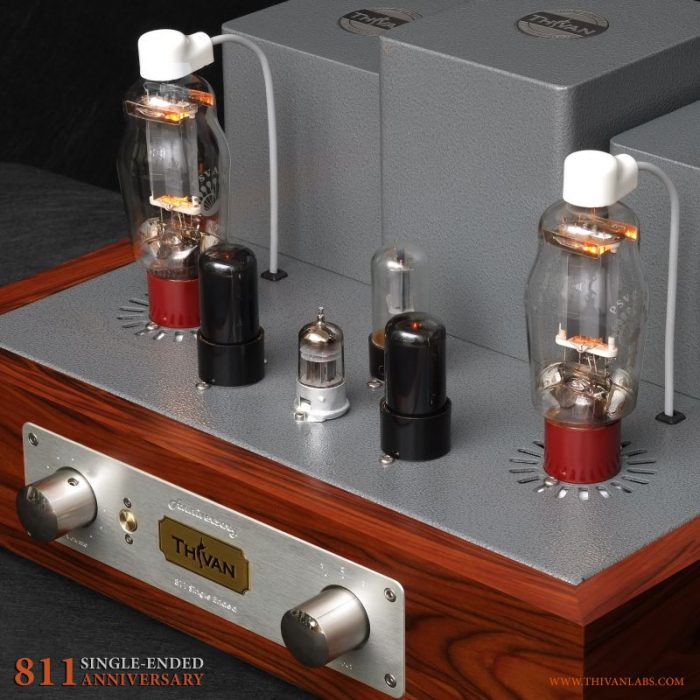 THIVANLABS 811 Magpie S.E integrated amplifier - Image 3