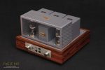 Thivanlabs Eagle 845 CLASS A integrated amplifier - Image 2