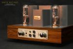 Thivanlabs Eagle 845 CLASS A integrated amplifier - Image 4