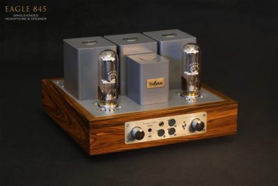 Thivanlabs Eagle 845 CLASS A integrated amplifier
