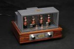 Thivanlabs Robin DL 50 Integrated with phono 1