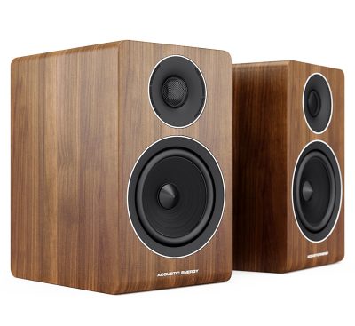 ACOUSTIC ENERGY AE 300 walnut