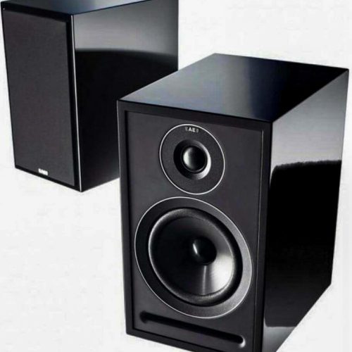 ACOUSTIC ENERGY AE 301