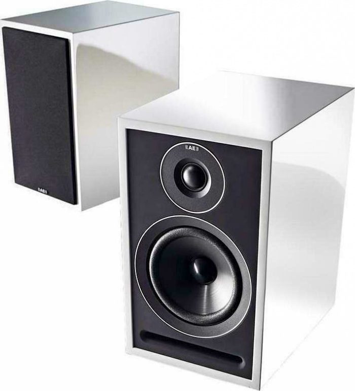 ACOUSTIC ENERGY AE 301 - Image 3