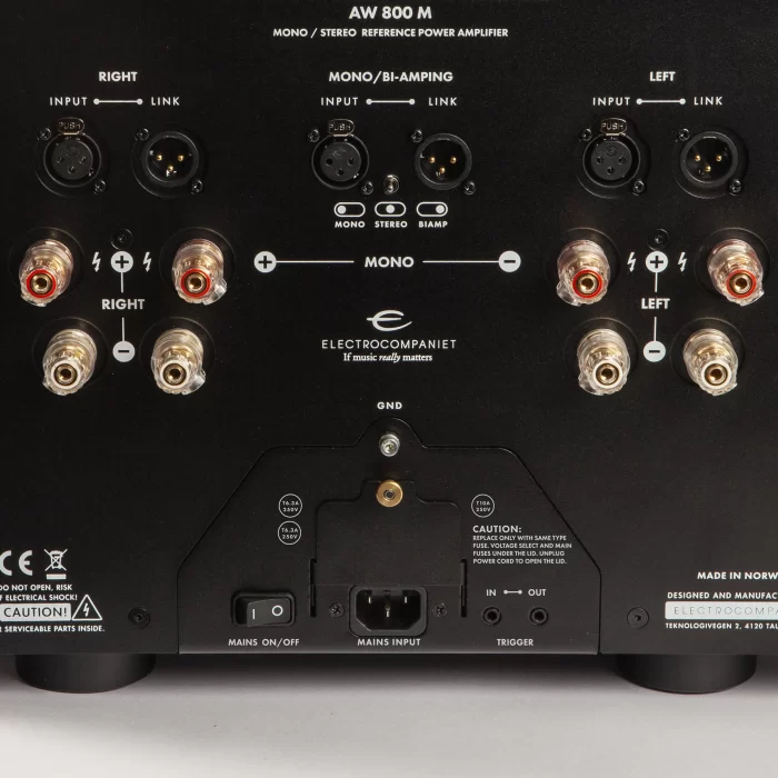 ELECTROCOMPANIET AW 800 REFERENCE MONO - Image 2
