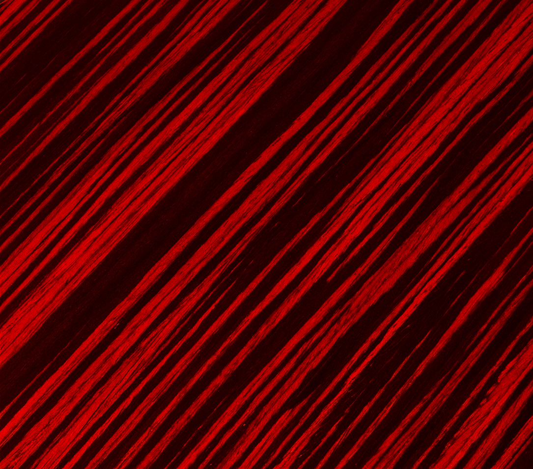 Ruby Macassar color