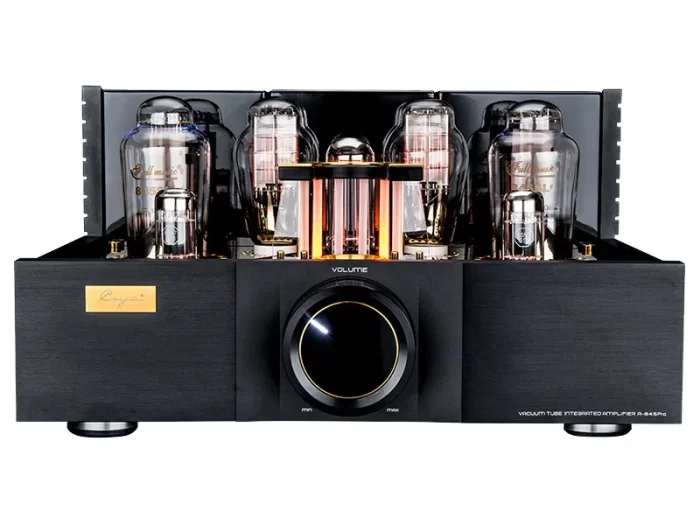 CAYIN A-845Pro - Image 3