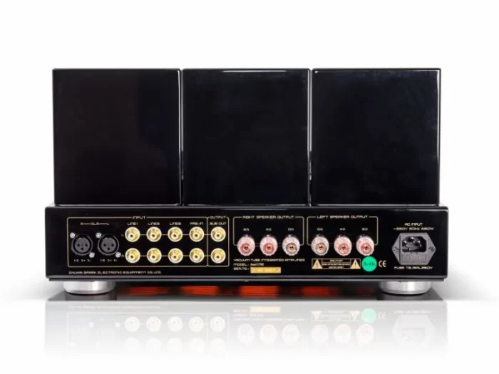 CAYIN SOUL 170i - Image 2