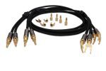 LUDIC Hera loudspeaker cable set