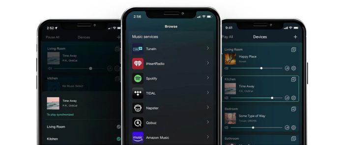 WIIM PRO+ - Image 3